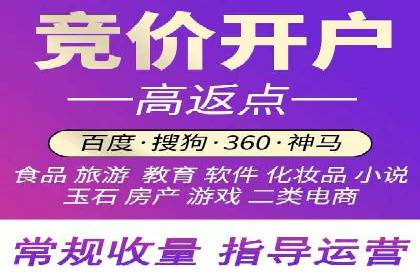 SEM推广实战：成功案例解读与策略调整